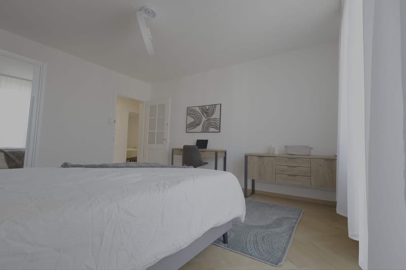 Modernes Coliving im Herzen von Zürich (3)
