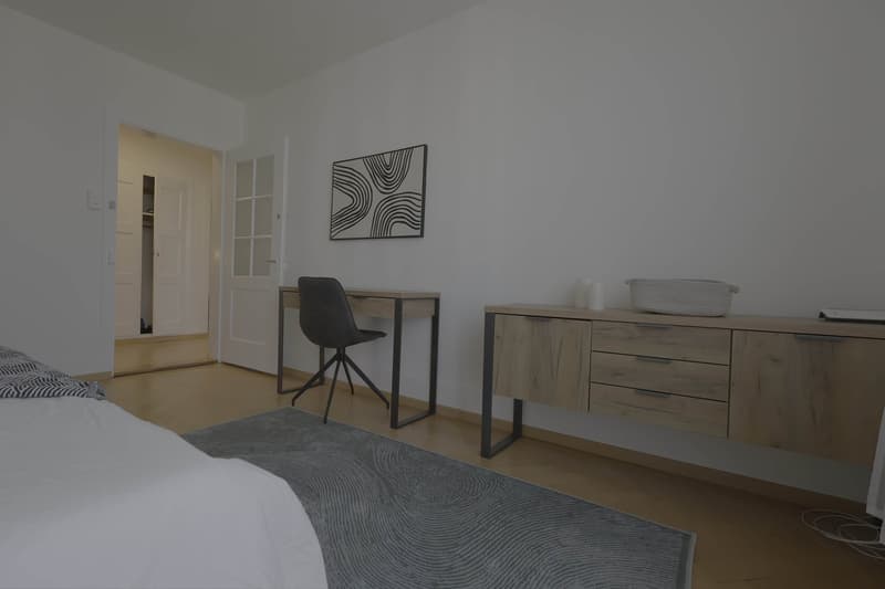 Modernes Coliving im Herzen von Zürich (6)