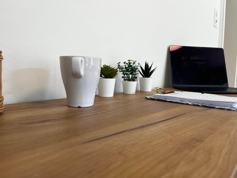 Entdecke komfortables Wohnen in Basel (14)