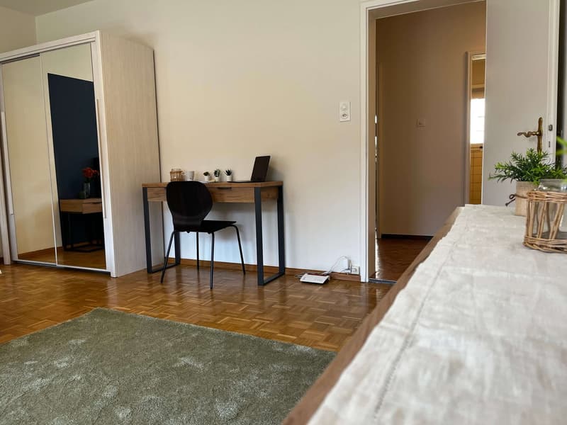 Entdecke komfortables Wohnen in Basel (8)