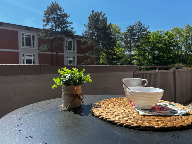 Entdecke komfortables Wohnen in Basel (11)