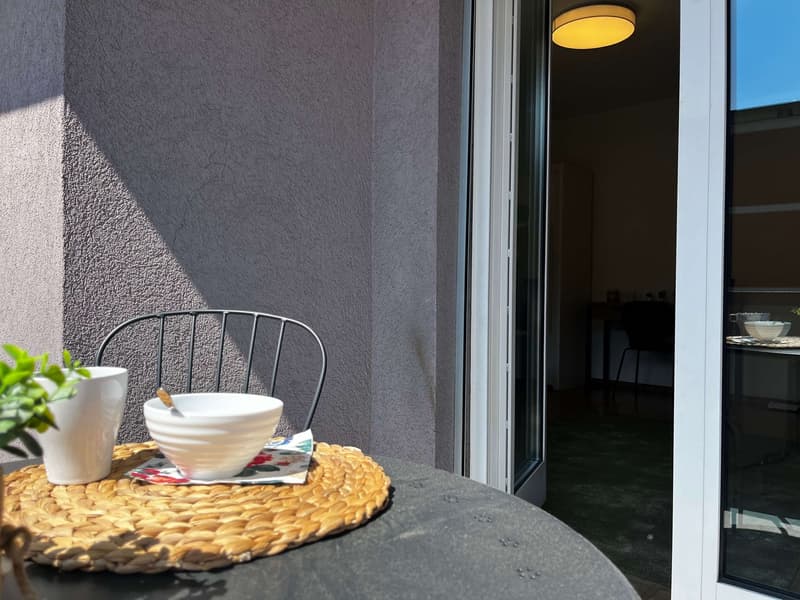 Entdecke komfortables Wohnen in Basel (12)