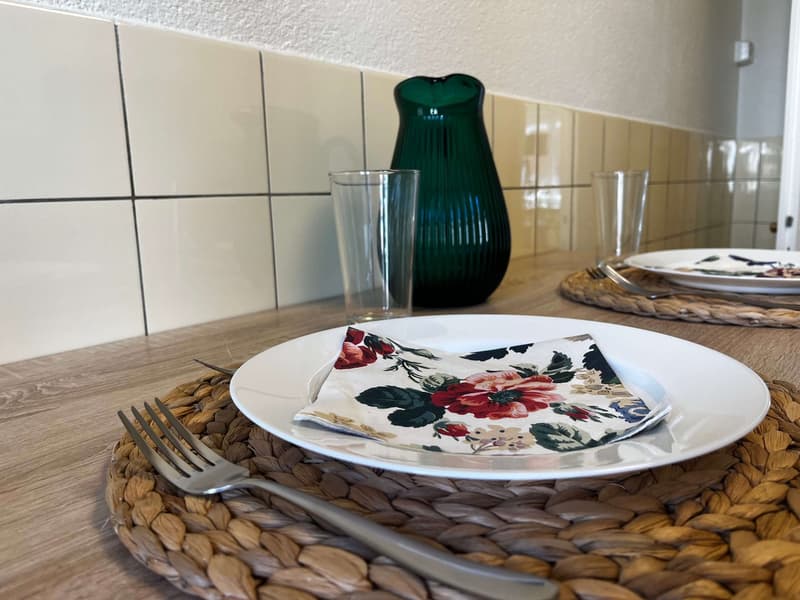 Entdecke komfortables Wohnen in Basel (22)