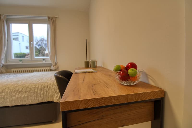 WG Zimmer (4)