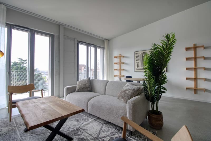Coliving Moderne Alliant Intimité, Travail et Vie Partagée à Renens (32)