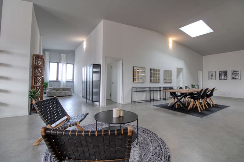 Coliving Moderne Alliant Intimité, Travail et Vie Partagée à Renens (21)