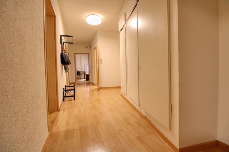 Eine moderne Coliving-Wohnung im lebhaften Wiedikon in Zürich (9)