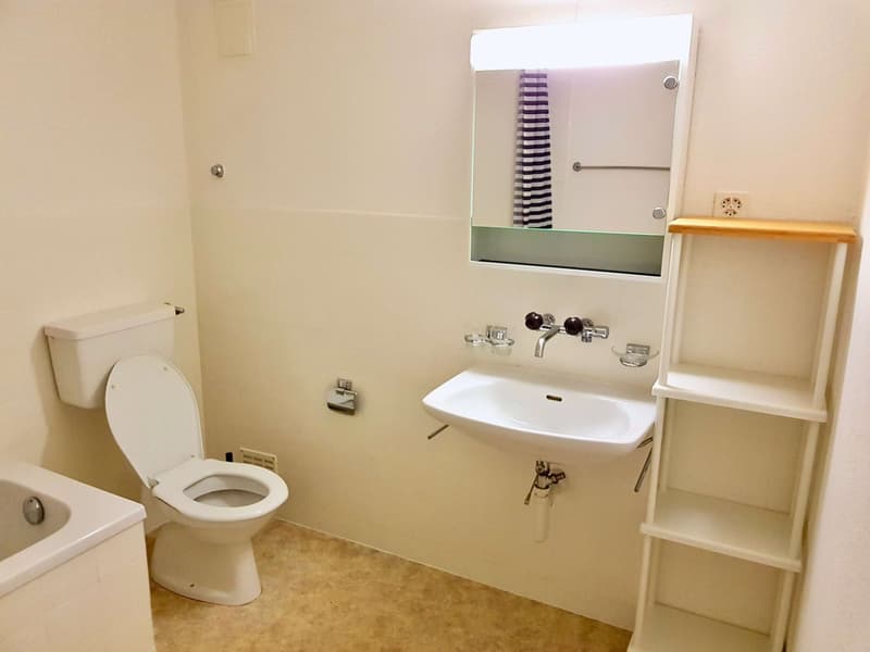 Möbliertes Zimmer in moderner Wohnung in Basel (6)