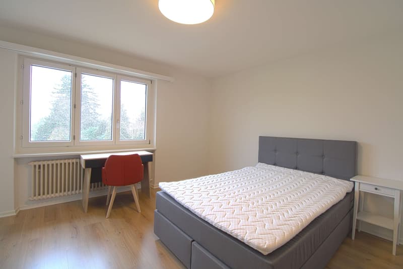 ONLINE BESICHTIGUNG WG-Zimmer (4)