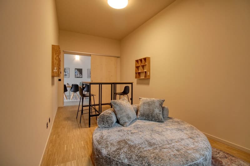 Coliving Moderne Alliant Intimité, Travail et Vie Partagée à Renens (14)