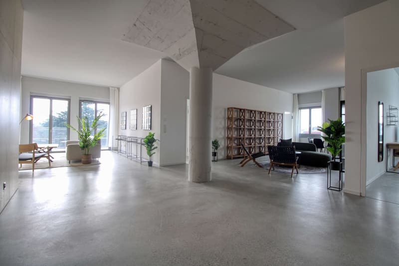 Coliving Moderne Alliant Intimité, Travail et Vie Partagée à Renens (19)