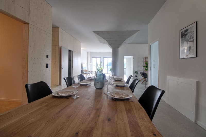 Coliving Moderne Alliant Intimité, Travail et Vie Partagée à Renens (17)