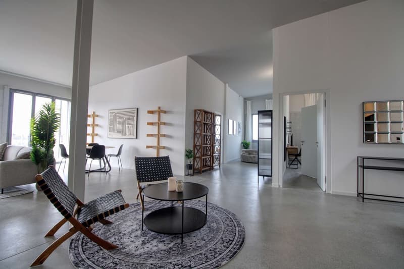 Coliving Moderne Alliant Intimité, Travail et Vie Partagée à Renens (21)