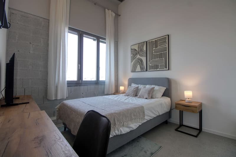 Coliving Moderne Alliant Intimité, Travail et Vie Partagée à Renens (2)