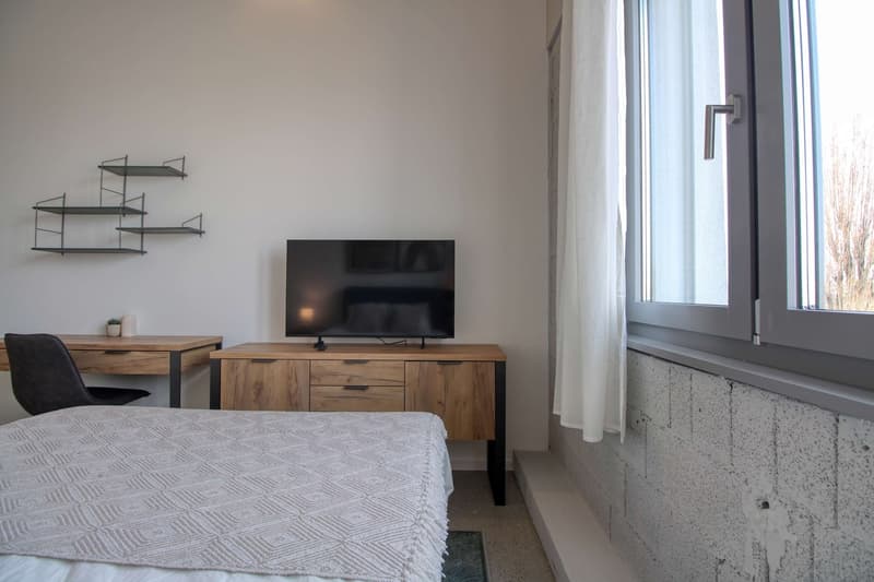 Coliving Moderne Alliant Intimité, Travail et Vie Partagée à Renens (7)