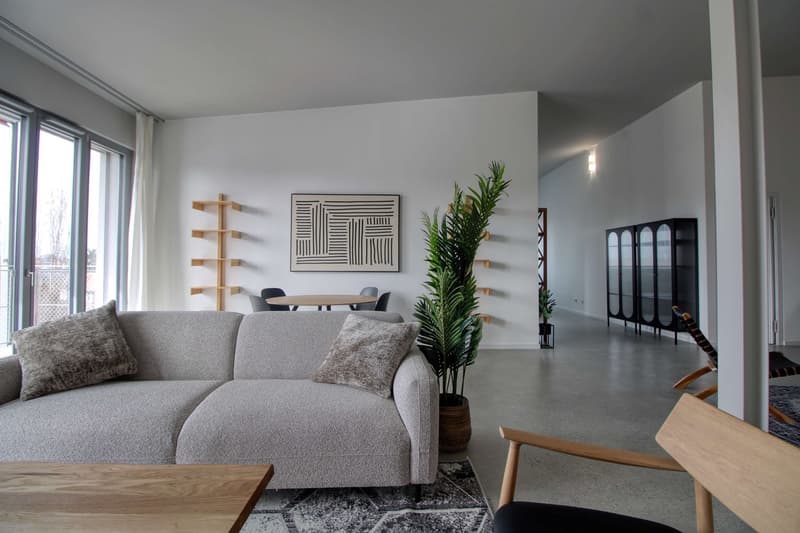 Coliving Moderne Alliant Intimité, Travail et Vie Partagée à Renens (32)