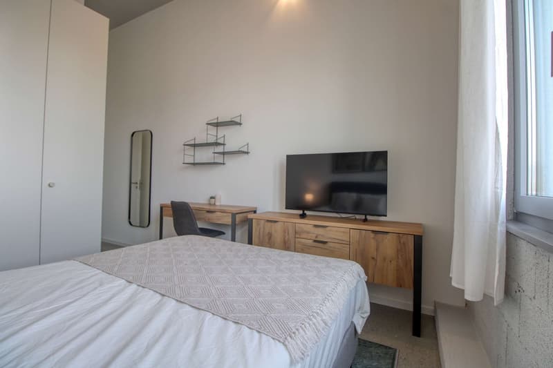 Coliving Moderne Alliant Intimité, Travail et Vie Partagée à Renens (8)