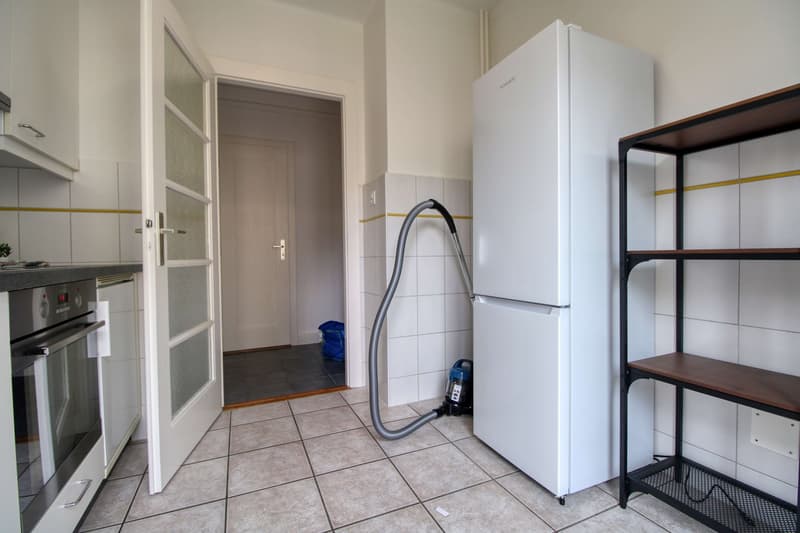 Coliving charmant dans la paisible Avenue de Béthusy à Lausanne (14)