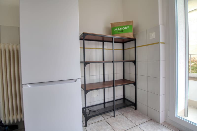 Coliving charmant dans la paisible Avenue de Béthusy à Lausanne (11)