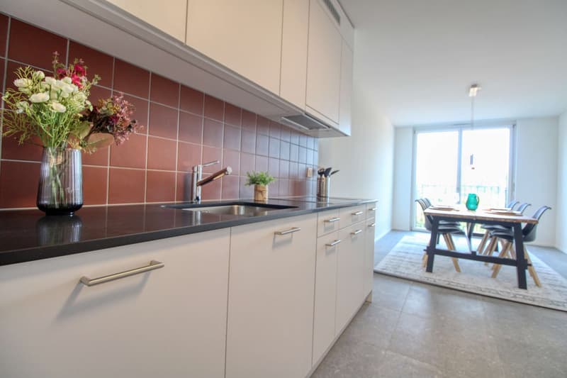 Appartement vivant spacieux à Crissier avec salle de bain privée en suite. (22)