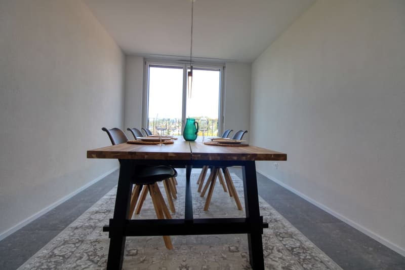 Appartement vivant spacieux à Crissier avec salle de bain privée en suite. (15)