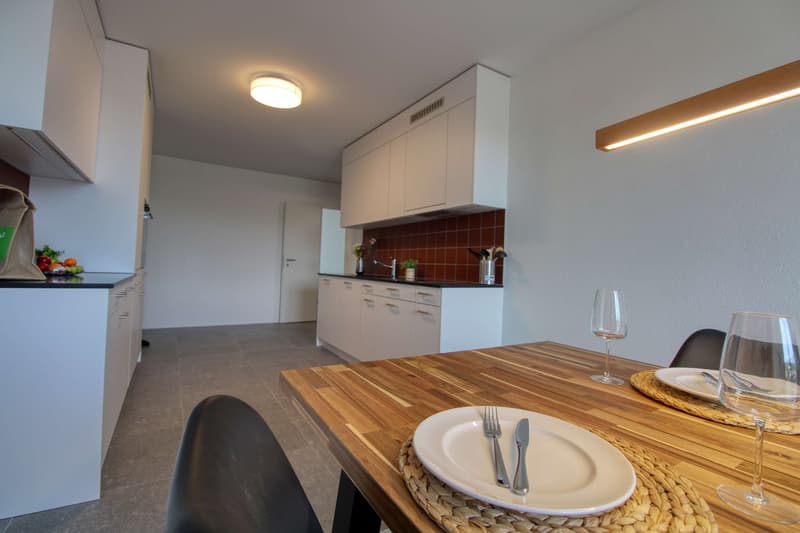 Appartement vivant spacieux à Crissier avec salle de bain privée en suite. (19)