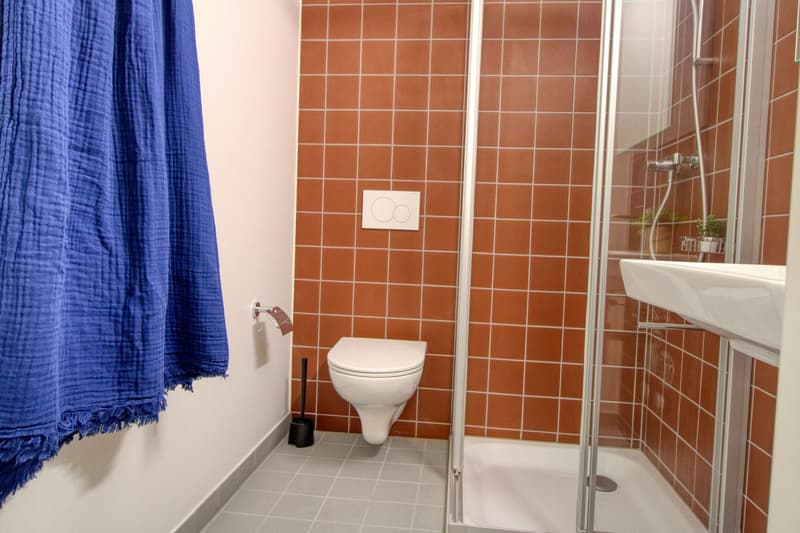 Appartement vivant spacieux à Crissier avec salle de bain privée en suite. (1)