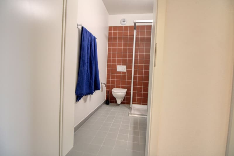 Appartement vivant spacieux à Crissier avec salle de bain privée en suite. (3)