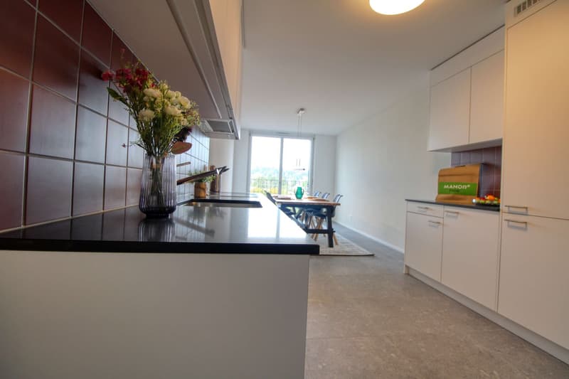 Appartement vivant spacieux à Crissier avec salle de bain privée en suite. (20)