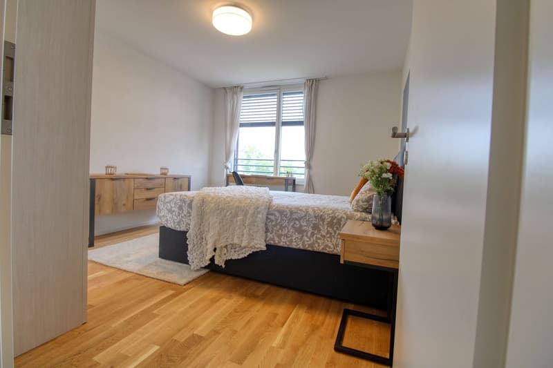 Appartement vivant spacieux à Crissier avec salle de bain privée en suite. (5)