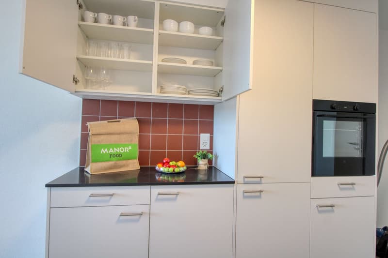 Appartement vivant spacieux à Crissier avec salle de bain privée en suite. (26)