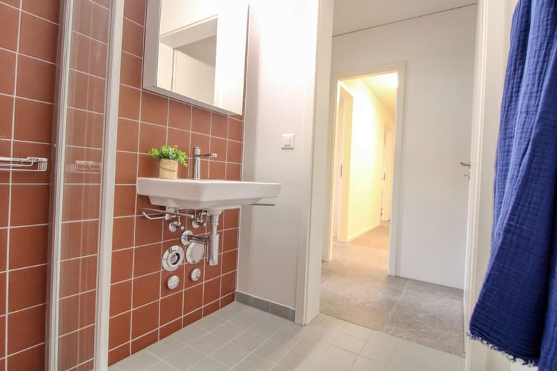 Appartement vivant spacieux à Crissier avec salle de bain privée en suite. (13)