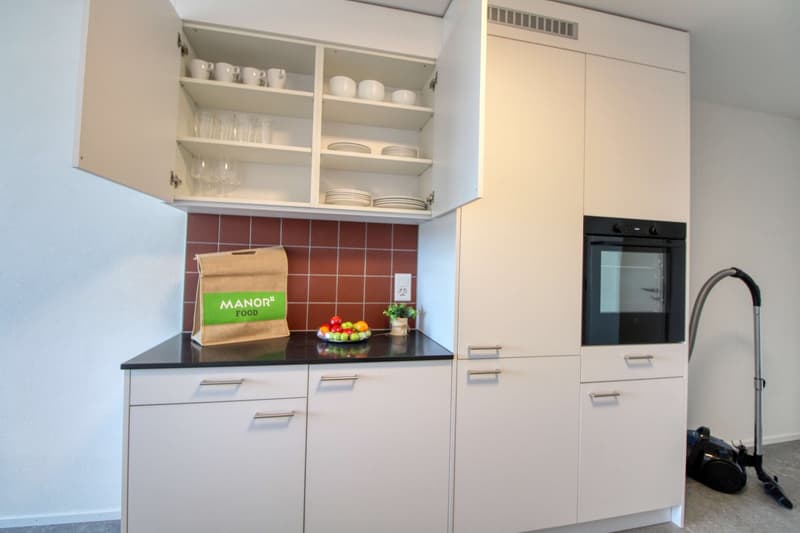 Appartement vivant spacieux à Crissier avec salle de bain privée en suite. (25)