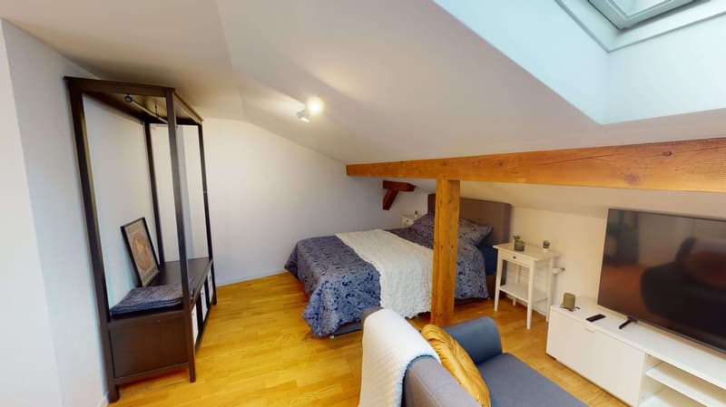 Studio in Schaffhausen (4)