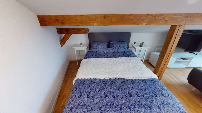 Studio in Schaffhausen (7)
