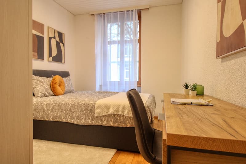 Modernes Coliving-Apartment in Basel (2)