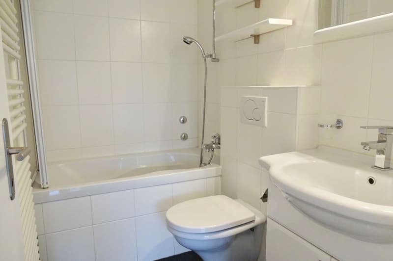 Möbliertes Zimmer in 4er WG mit grossem Wohnzimmer & Balkon (4)