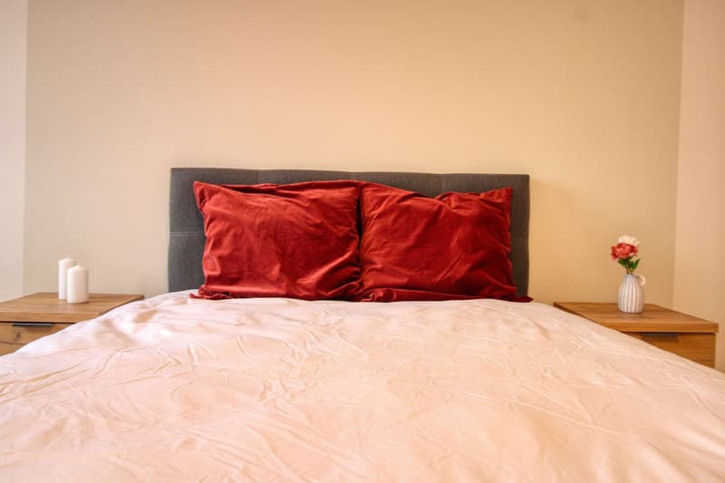 Un Appartement Coliving Moderne à l'Avenue de France à Lausanne (5)