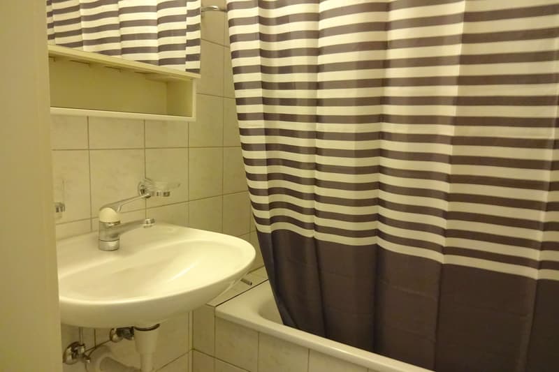 Möbliertes Zimmer an ruhiger Lage (4)
