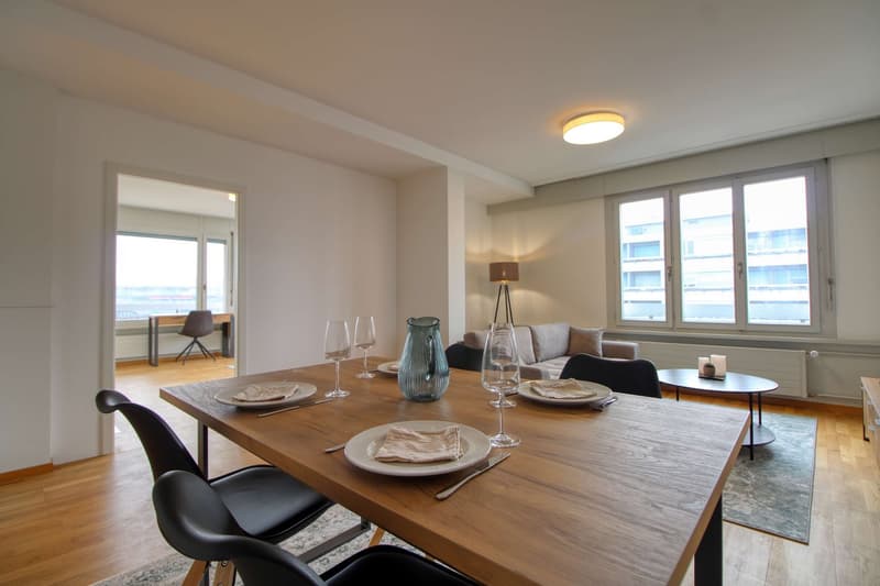 Coliving Spacieux et Confortable à Le Grand-Saconnex (16)