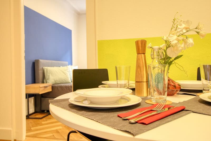 Magnifique appartement meublé en colocation, hypercentre de Genève (10)