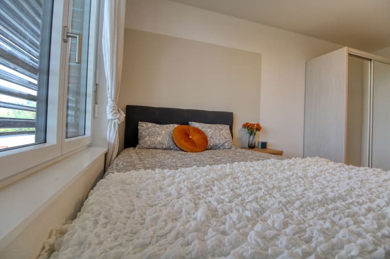 Appartement Coliving Spacieux à Crissier (3)