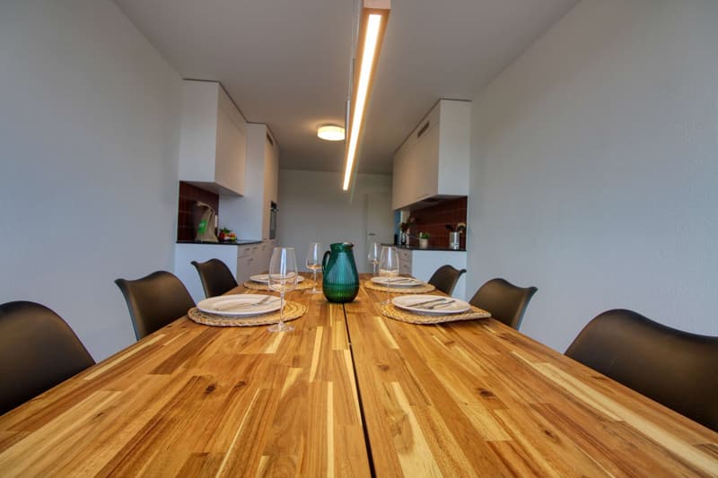 Appartement Coliving Spacieux à Crissier (10)