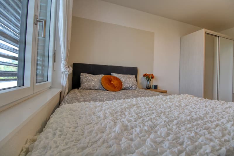 Appartement Coliving Spacieux à Crissier (4)