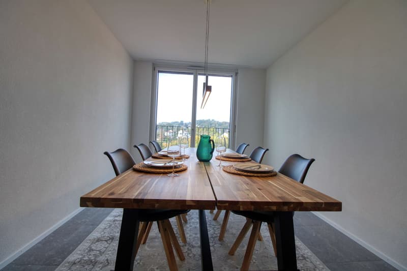 Appartement Coliving Spacieux à Crissier (8)