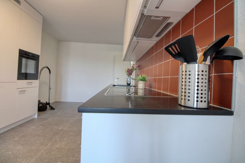 Appartement Coliving Spacieux à Crissier (16)