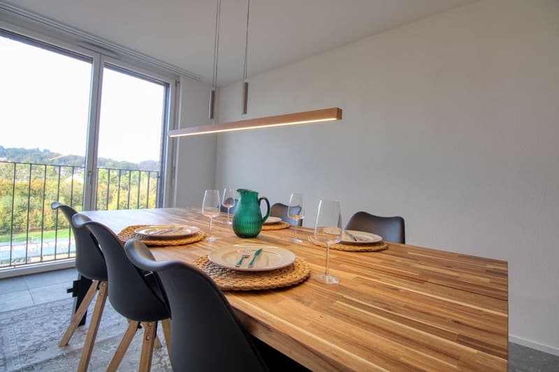 Appartement Coliving Spacieux à Crissier (9)