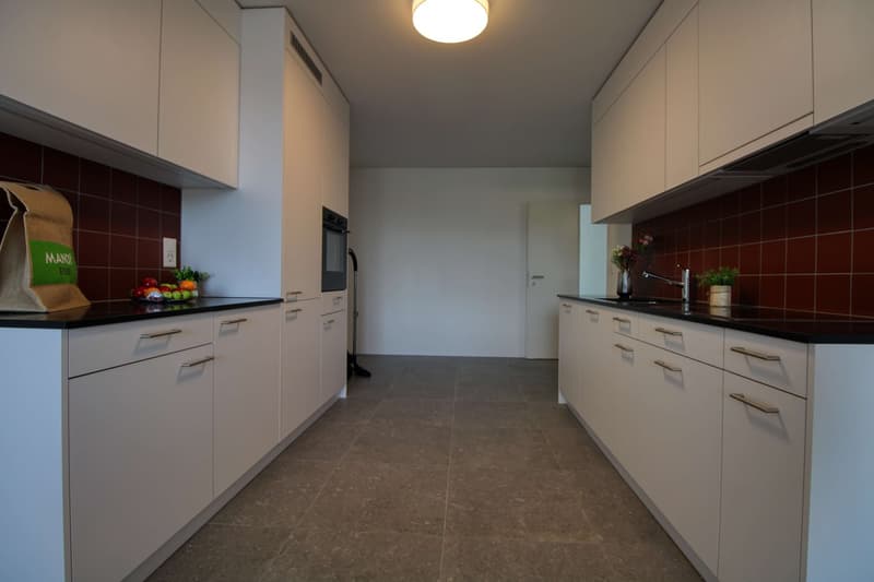 Appartement Coliving Spacieux à Crissier (15)