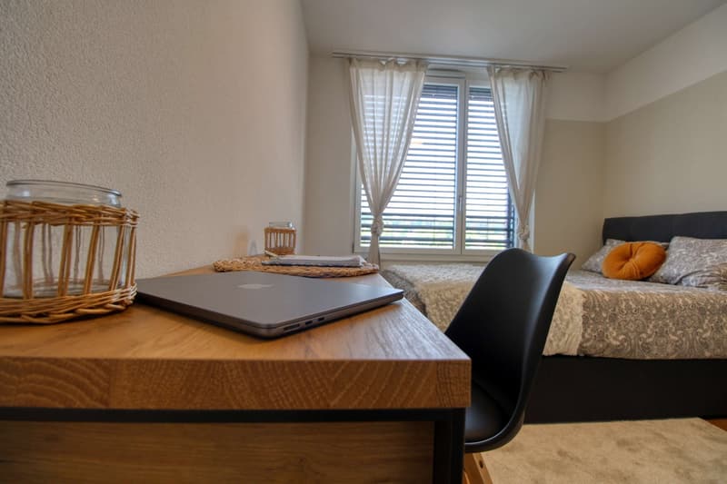 Appartement Coliving Spacieux à Crissier (2)