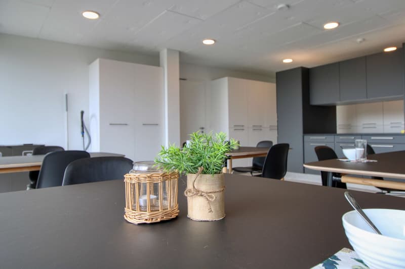 Coliving at Lily : un habitat moderne à proximité de Lausanne, de l'EPFL et de l'UNIL (16)